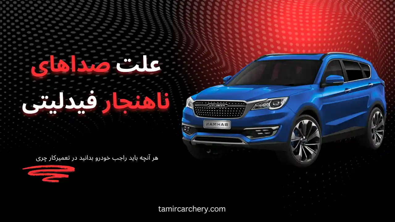 علت صدای اضافه فیدلیتی علت صدای اضافه فیدلیتی