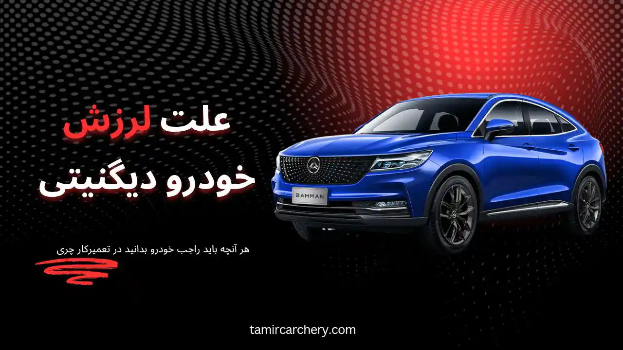 علت لرزش دیگنیتی در حالات مختلف علت لرزش دیگنیتی در حالات مختلف