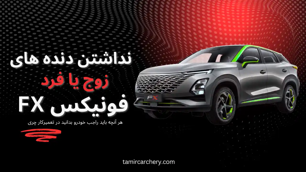 نداشتن دنده زوج یا فرد فونیکس FX نداشتن دنده زوج یا فرد فونیکس FX